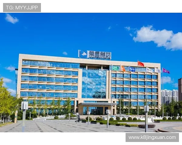 凯发国际k8官网安全保障措施详解，确保每位玩家的账号信息与资金安全无忧